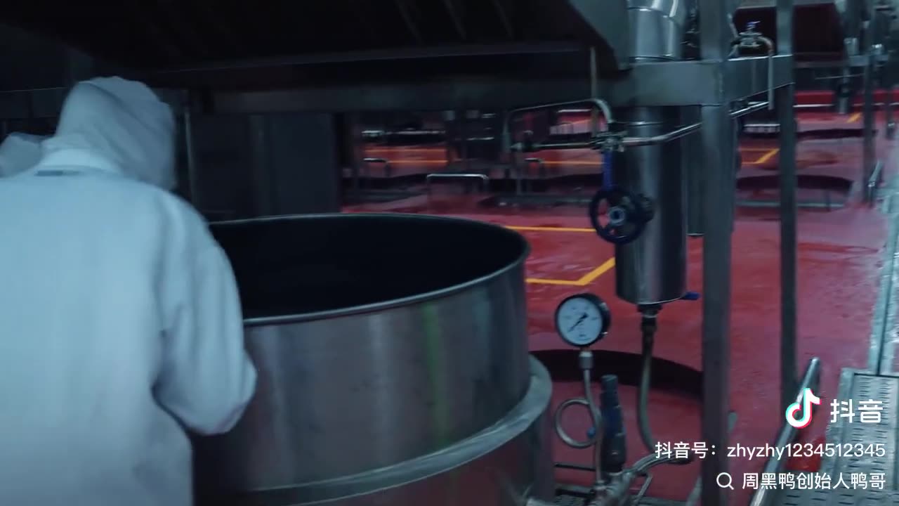 Still from a Zhouheiya factory-tour video